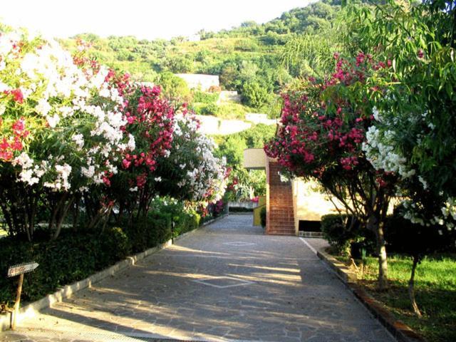 Villaggio Hotel Club Calanovellamare 피라이노 외부 사진