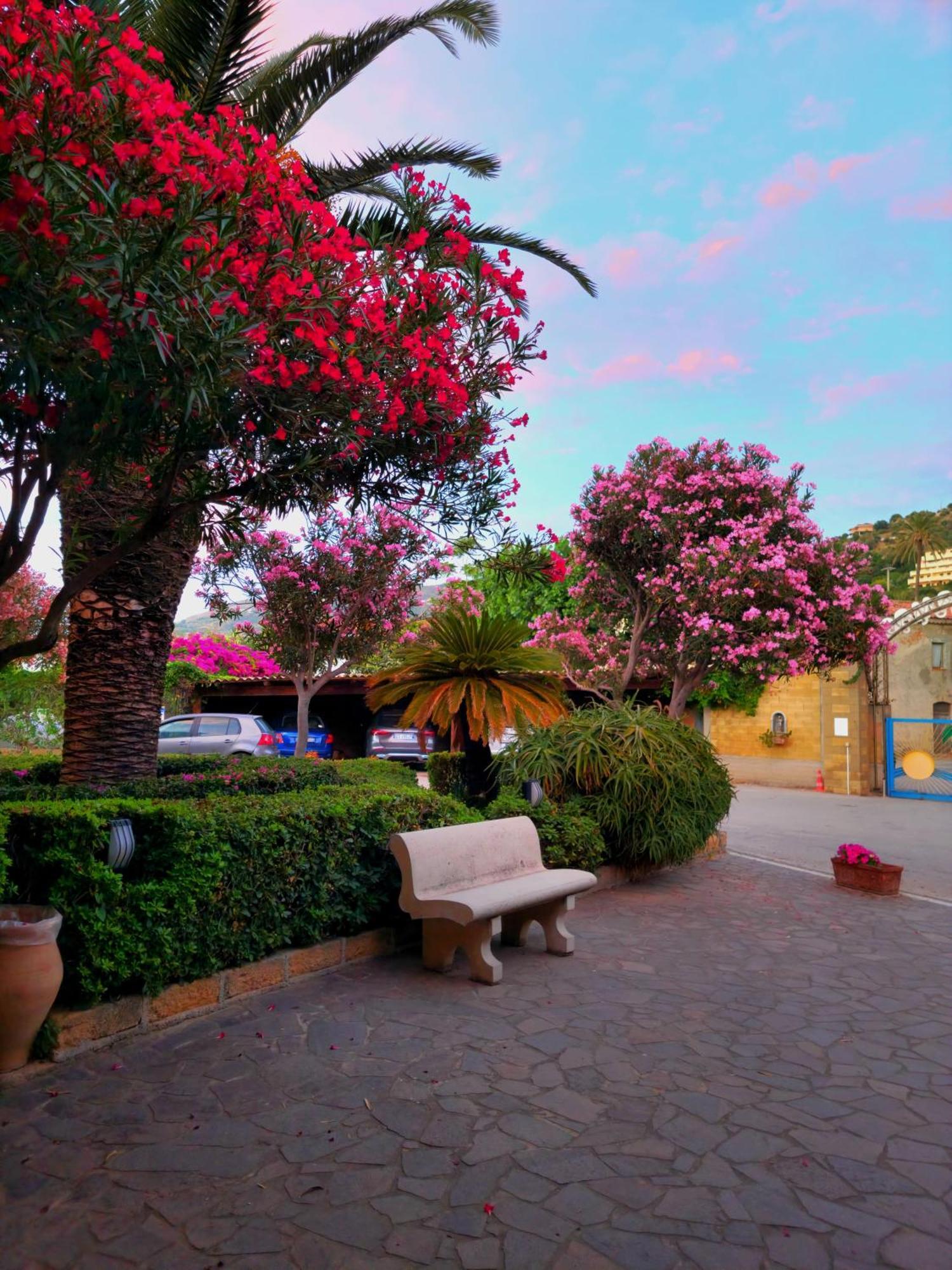 Villaggio Hotel Club Calanovellamare 피라이노 외부 사진